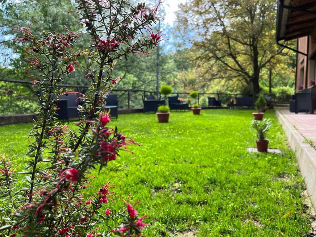 Agriturismo Tre Elle Acri Exteriör bild